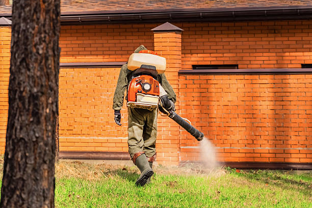 Trusted Ant Control service in Brodhead, WI - Nex Pest Control